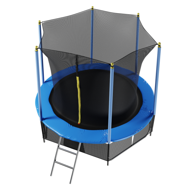 Батут "Winner Classic" (8 футов, верхняя + нижняя защитные сетки и лестница в комплекте)